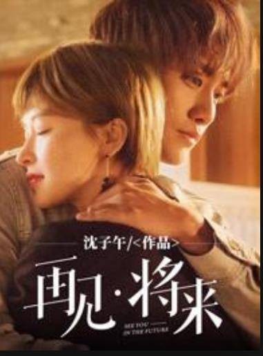 再见,将来(沈子午所著小说)