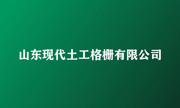 山东现代土工格栅有限公司