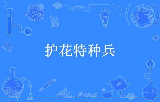 护花特种兵（樵渔所著小说）