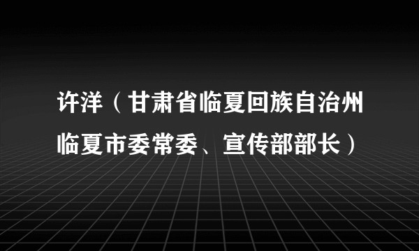 许洋(甘肃省临夏回族自治州临夏市委常委、宣传部部长)