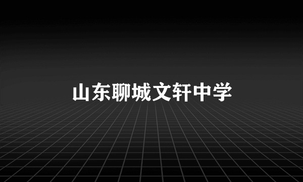 山东聊城文轩中学