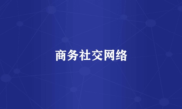 商务社交网络