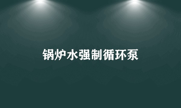 锅炉水强制循环泵