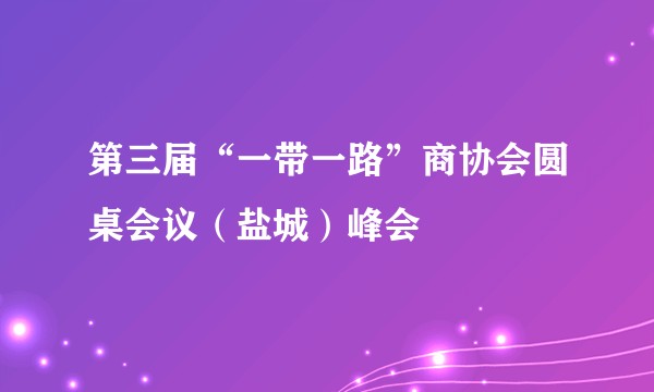 第三届“一带一路”商协会圆桌会议（盐城）峰会