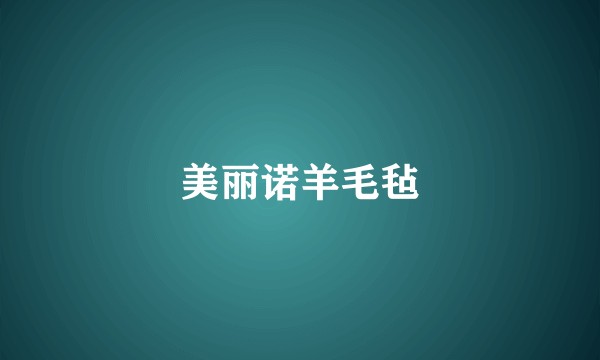 美丽诺羊毛毡