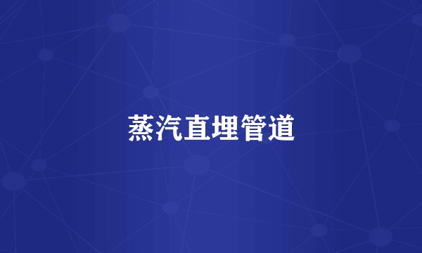 蒸汽直埋管道
