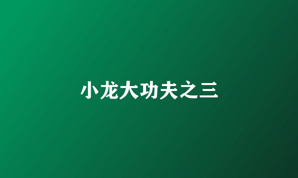 小龙大功夫之三