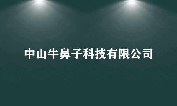 中山牛鼻子科技有限公司