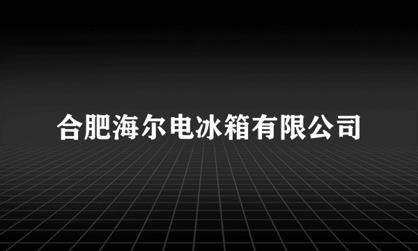 合肥海尔电冰箱有限公司