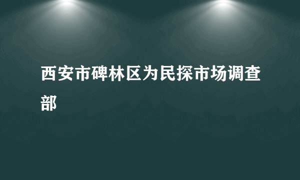 西安市碑林区为民探市场调查部