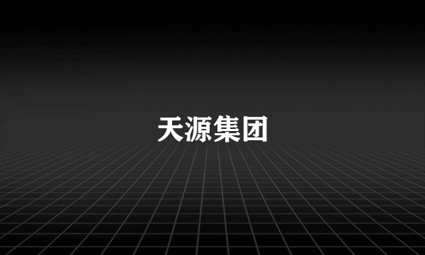 天源集团