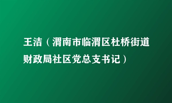 王洁（渭南市临渭区杜桥街道财政局社区党总支书记）