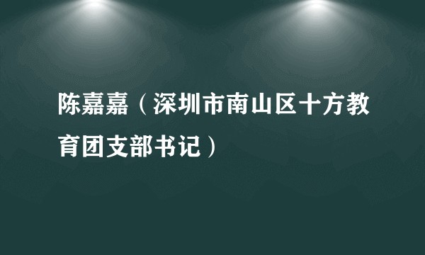 陈嘉嘉（深圳市南山区十方教育团支部书记）