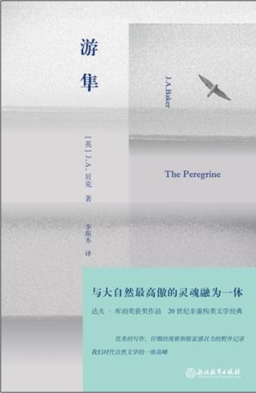 游隼（2017年浙江教育出版社出版的图书）