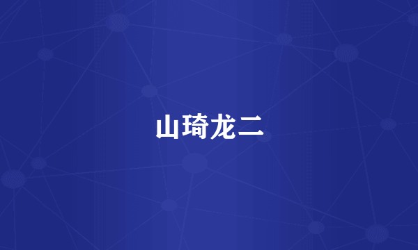 山琦龙二
