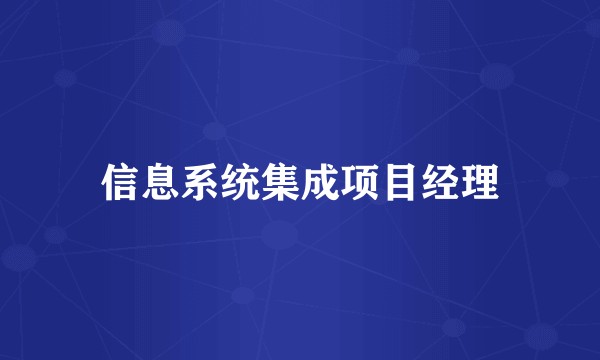信息系统集成项目经理