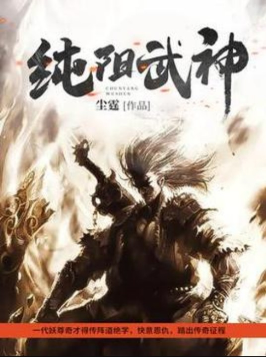 纯阳武神(尘霆所著小说)