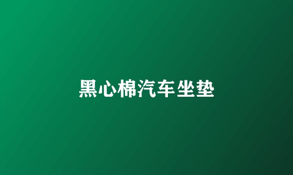 黑心棉汽车坐垫