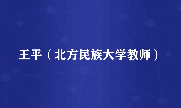 王平（北方民族大学教师）