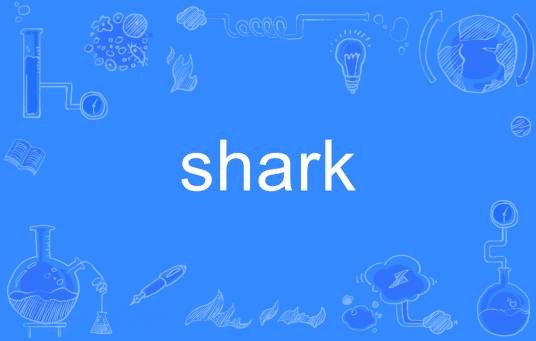 shark（英文单词）