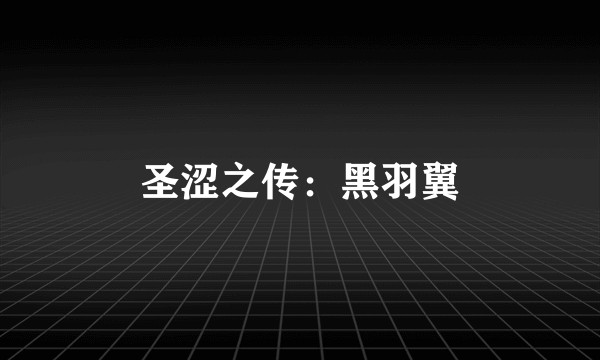 圣涩之传：黑羽翼