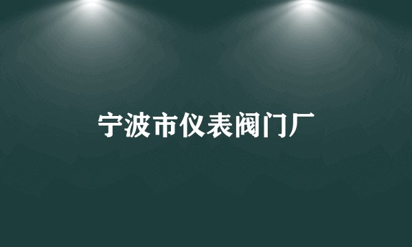 宁波市仪表阀门厂