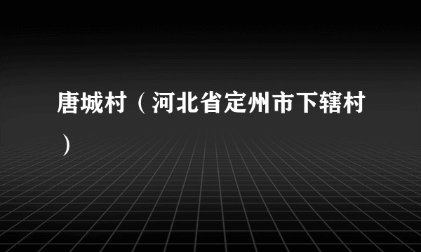 唐城村（河北省定州市下辖村）