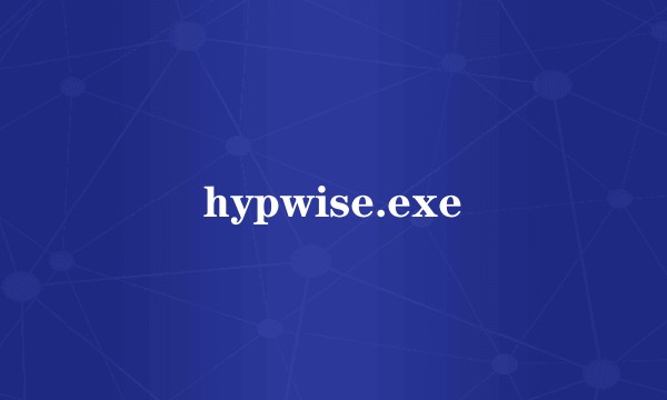 hypwise.exe