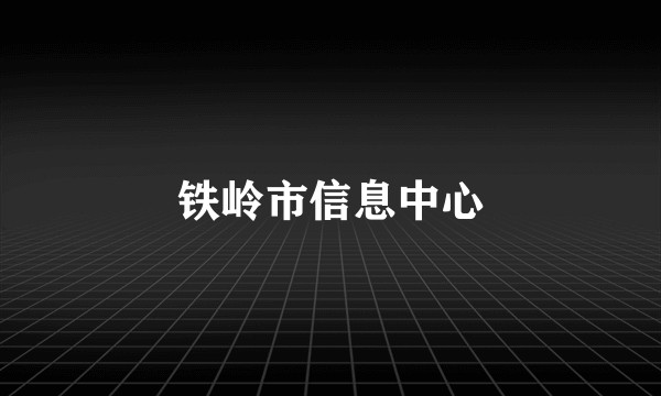铁岭市信息中心