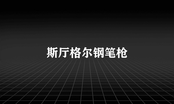 斯厅格尔钢笔枪