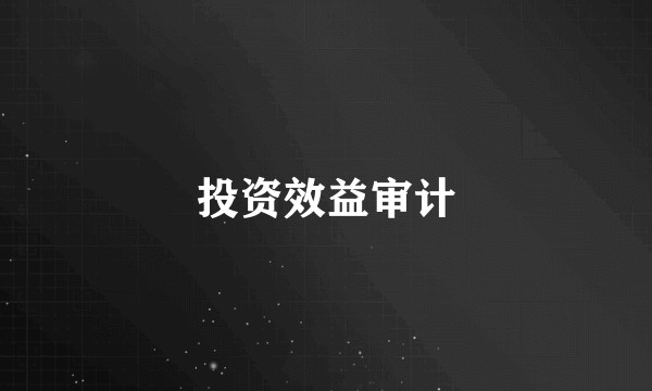 投资效益审计