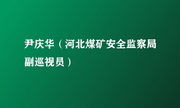 尹庆华(河北煤矿安全监察局副巡视员)