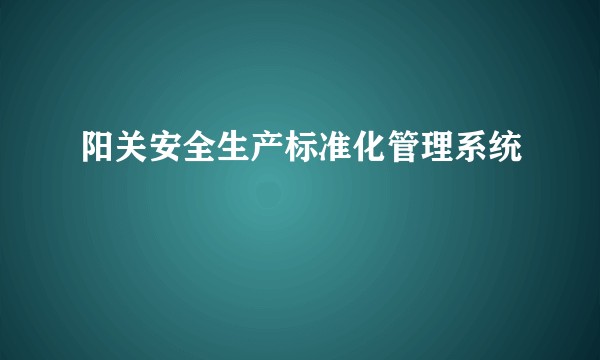 阳关安全生产标准化管理系统