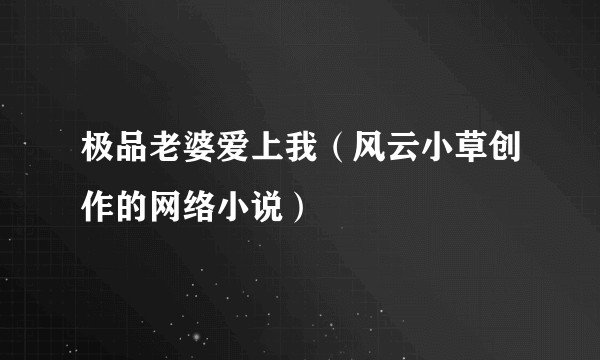 极品老婆爱上我（风云小草创作的网络小说）