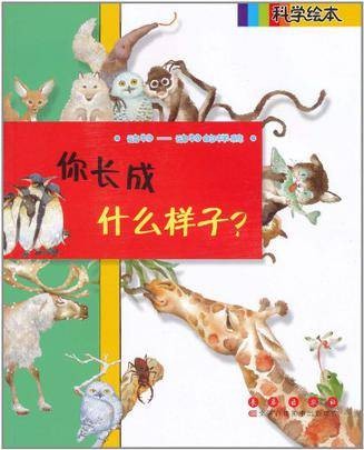 你长成什么样子?