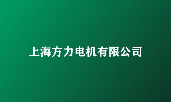 上海方力电机有限公司
