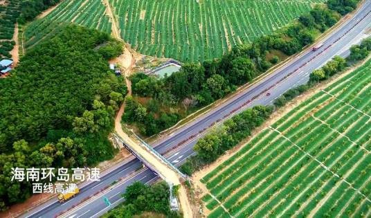 西线高速公路