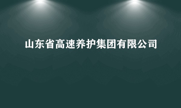 山东省高速养护集团有限公司