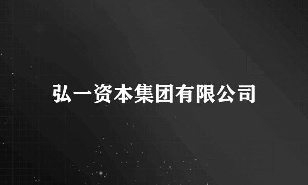 弘一资本集团有限公司