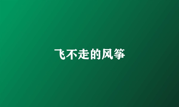 飞不走的风筝