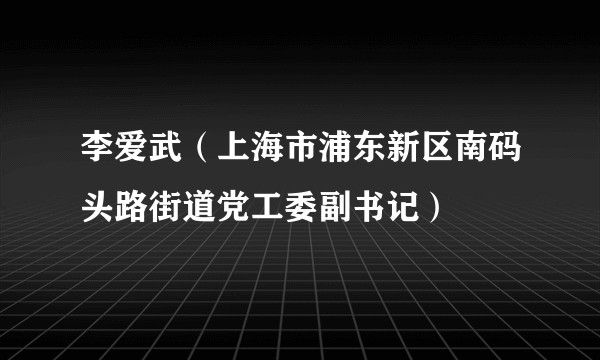 李爱武（上海市浦东新区南码头路街道党工委副书记）