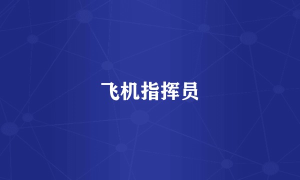 飞机指挥员