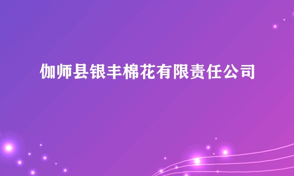 伽师县银丰棉花有限责任公司