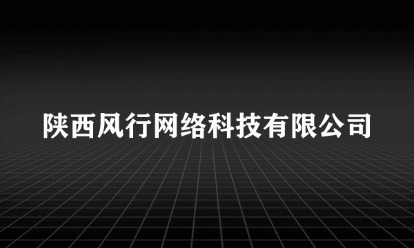 陕西风行网络科技有限公司