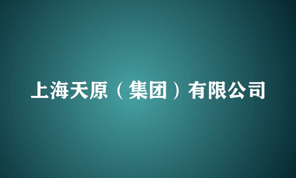 上海天原（集团）有限公司