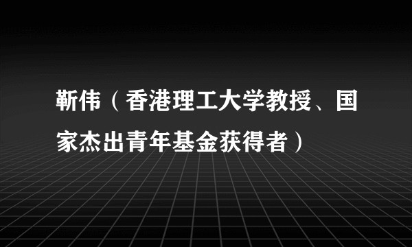 靳伟(香港理工大学教授、国家杰出青年基金获得者)