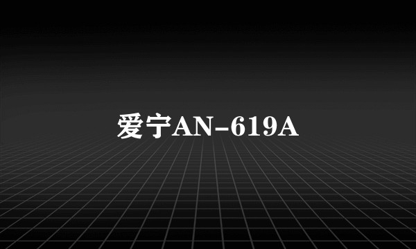 爱宁AN-619A