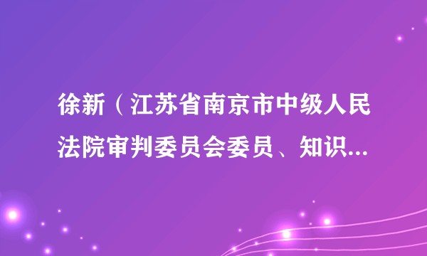 徐新（江苏省南京市中级人民法院审判委员会委员、知识产权审判庭庭长）