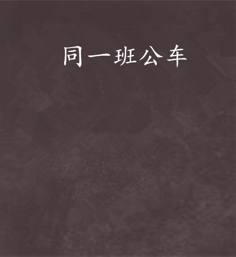 同一班公车(网络小说)