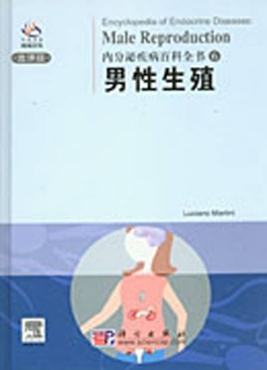 男性生殖